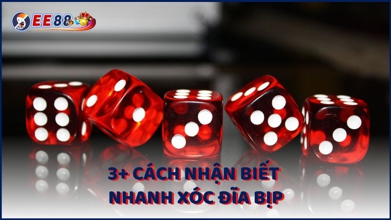 3+ Cach Nhan Biet Nhanh Xoc Dia Bip