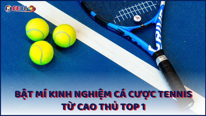 Bat Mi Kinh Nghiem Ca Cuoc Tennis Tu Cao Thu Top 1