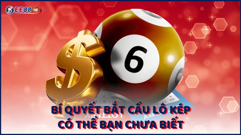 Bi Quyet Bat Cau Lo Kep Co The Ban Chua Biet