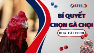 Bi Quyet Chon Ga Choi