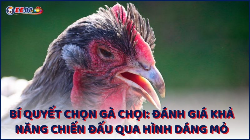 Bi Quyet Chon Ga Choi Danh Gia Kha Nang Chien Dau Qua Hinh Dang Mo