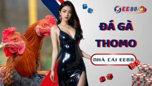 Da Ga Thomo San Pham Ca Cuoc Dinh Cao Cho Ke Thu