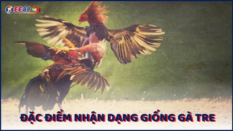 Dac Diem Nhan Dang Giong Ga Tre