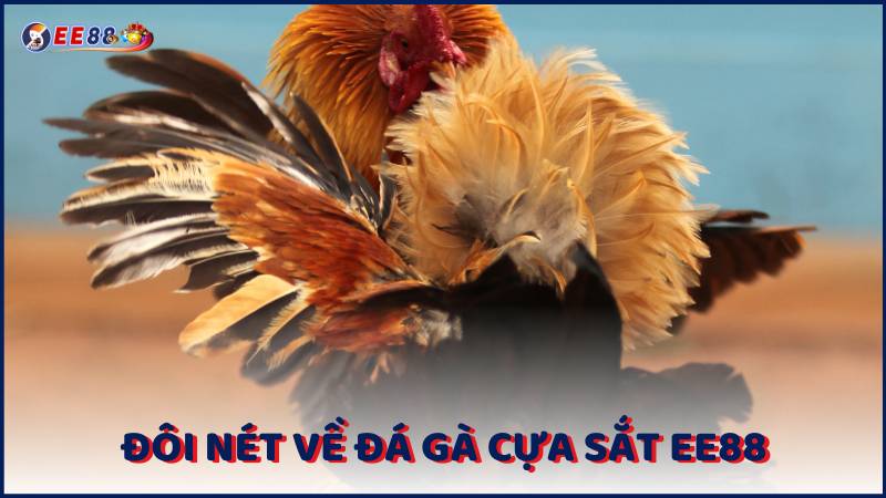 Doi Net Ve Da Ga Cua Sat Ee88