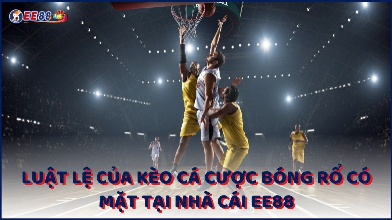 Luat Le Cua Keo Ca Cuoc Bong Ro Co Mat Tai Nha Cai Ee88 (1)