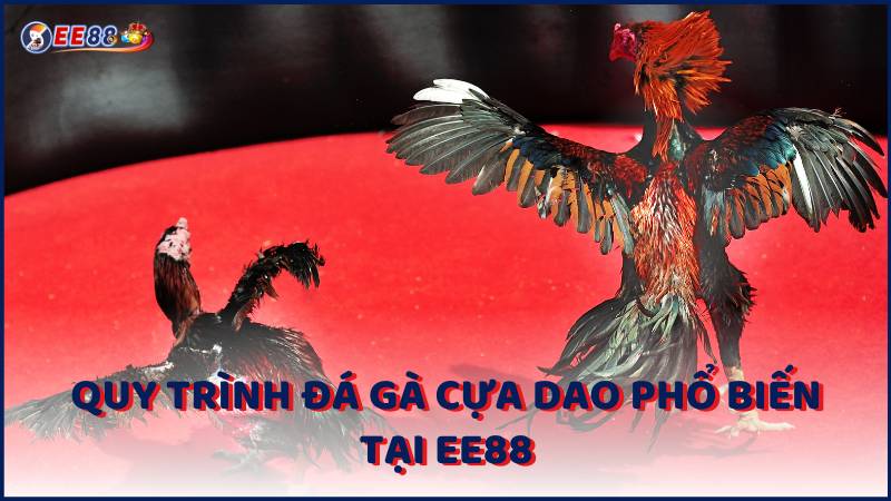 Quy Trinh Da Ga Cua Dao Pho Bien Tai Ee88