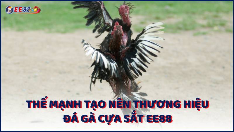 The Manh Tao Nen Thuong Hieu Da Ga Cua Sat Ee88