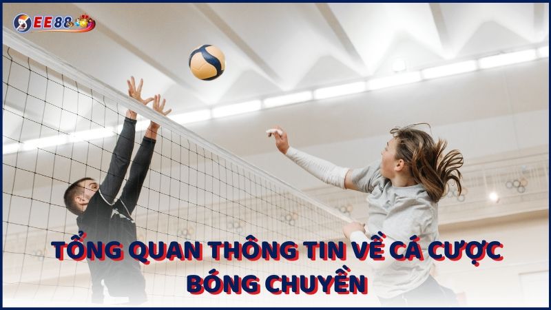 Tong Quan Thong Tin Ve Ca Cuoc Bong Chuyen (1)