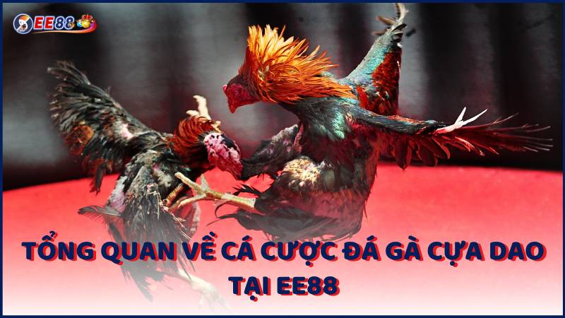 Tong Quan Ve Ca Cuoc Da Ga Cua Dao Tai Ee88